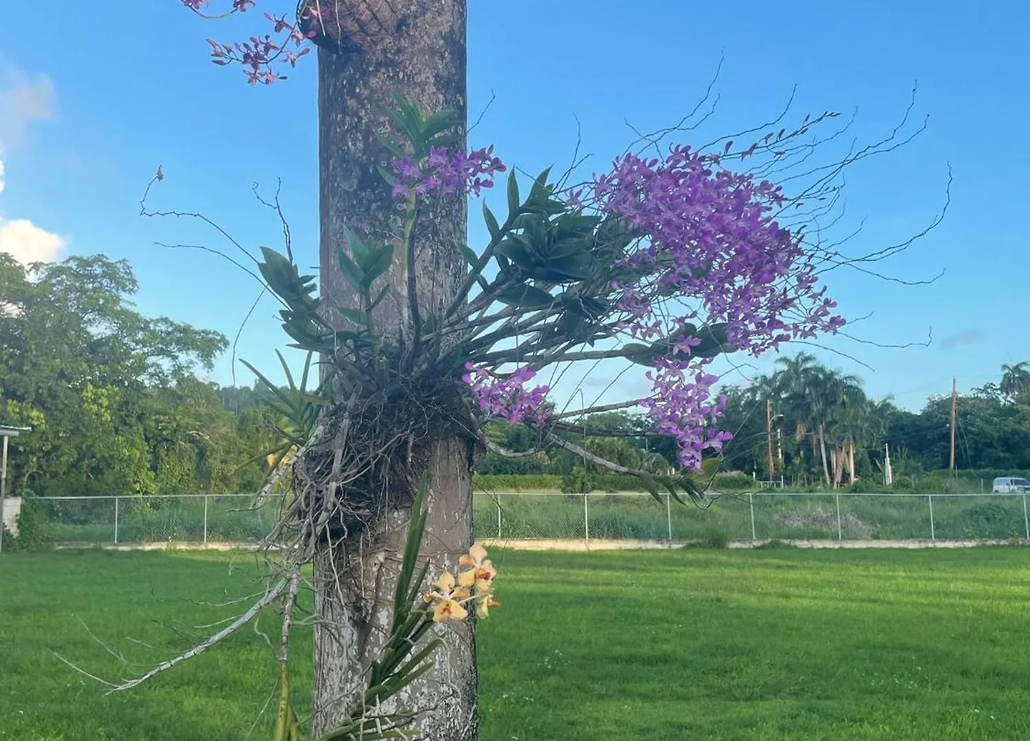 Hogar Bello Sitio Carmelita